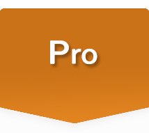 PRO MANGO1